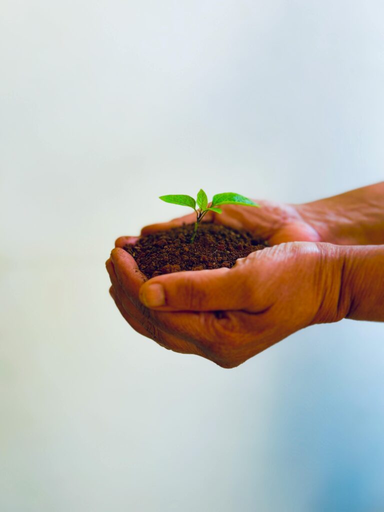 hand holding dirt and a plant sprout